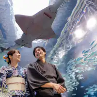 てぶらで気軽に浴衣を楽しめるステイプラン