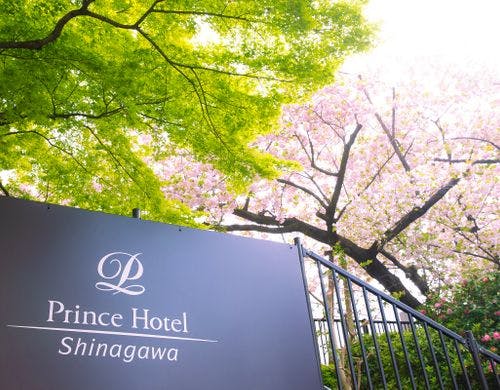 いちょう坂（春）