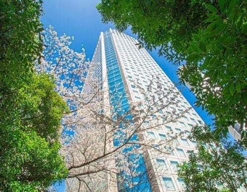 メインタワー 外観（春）