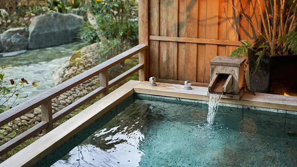 Shimoda Rendaiji Onsen Seiryuso