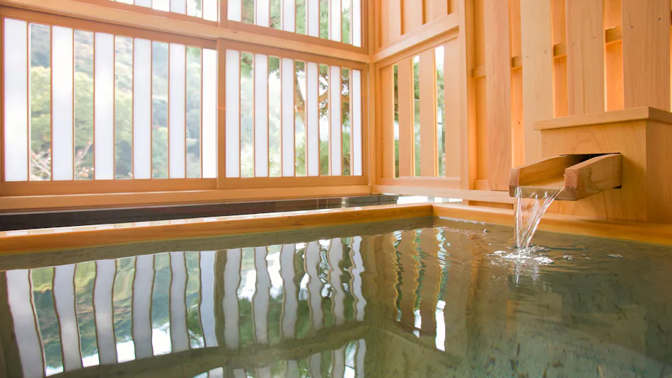 Shimoda Rendaiji Onsen Seiryuso