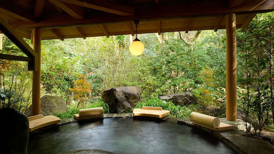 Shimoda Rendaiji Onsen Seiryuso