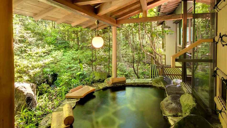 Shimoda Rendaiji Onsen Seiryuso