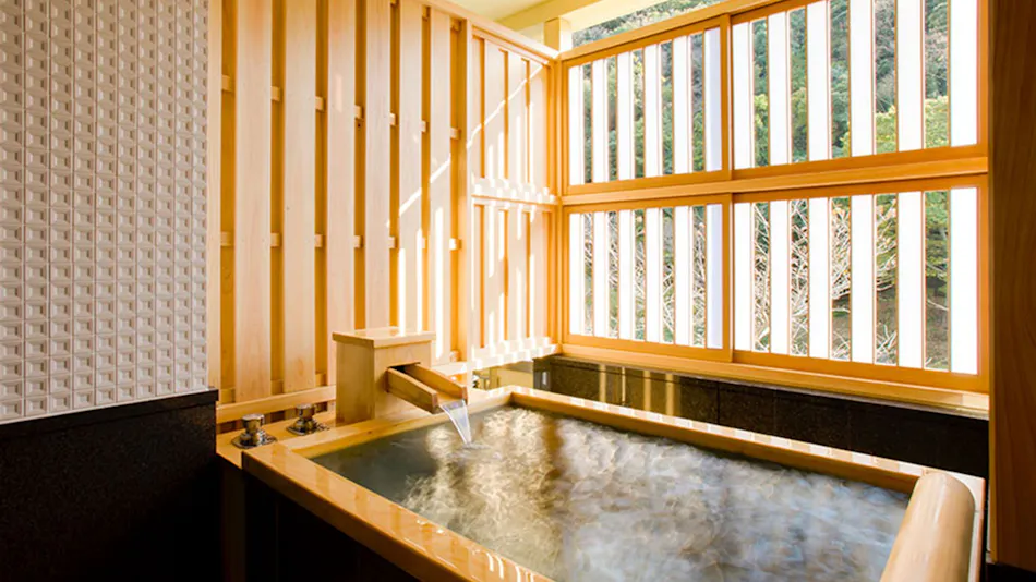 Shimoda Rendaiji Onsen Seiryuso