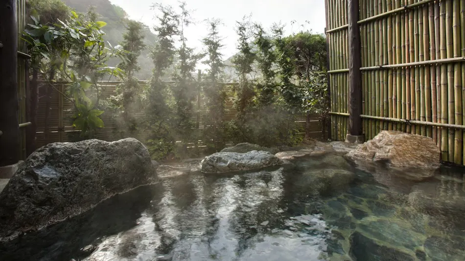 Shimoda Rendaiji Onsen Seiryuso