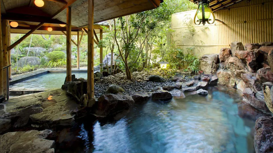 Shimoda Rendaiji Onsen Seiryuso
