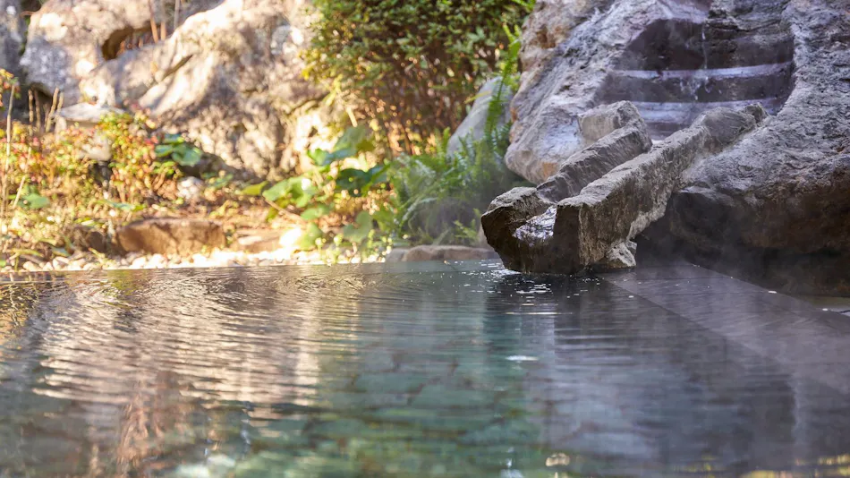 Shimoda Rendaiji Onsen Seiryuso