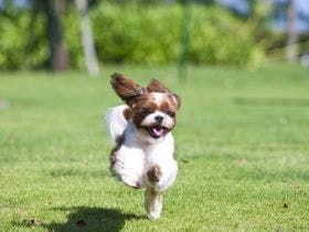 ヒルトン小田原リゾート＆スパ