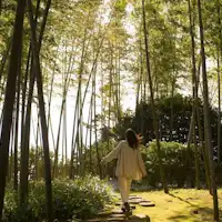 ทางเดิน