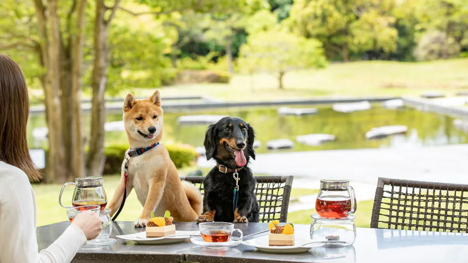 Hilton Odawara Resort & Spa
