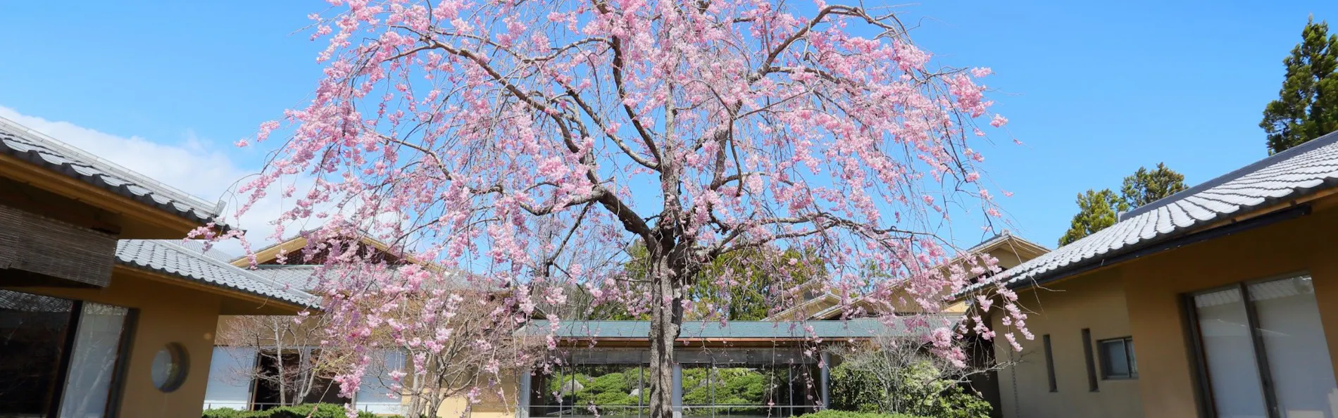 茶寮宗園
