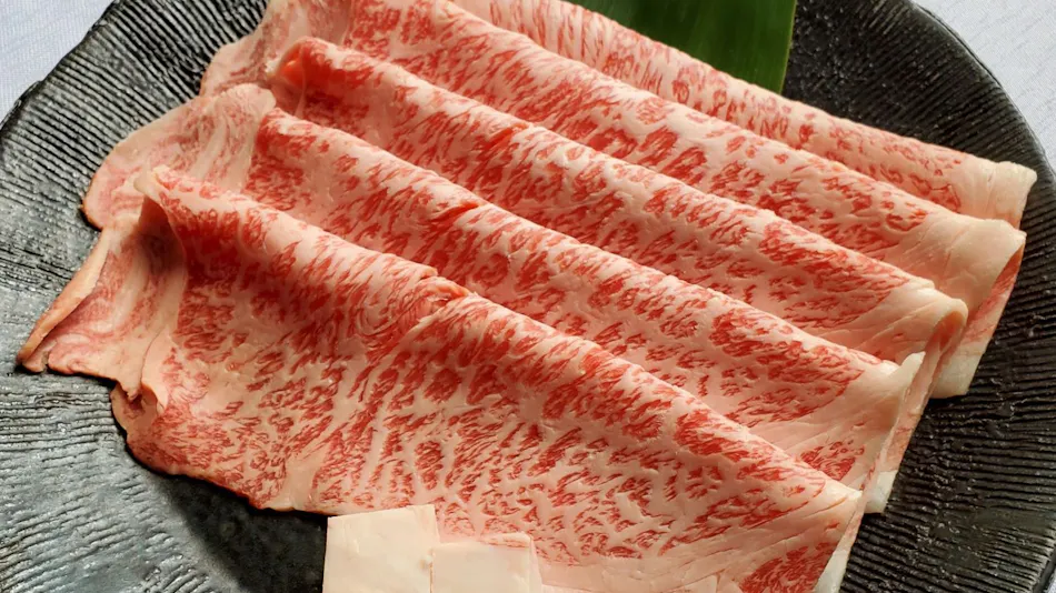 Nasu Sansuikaku