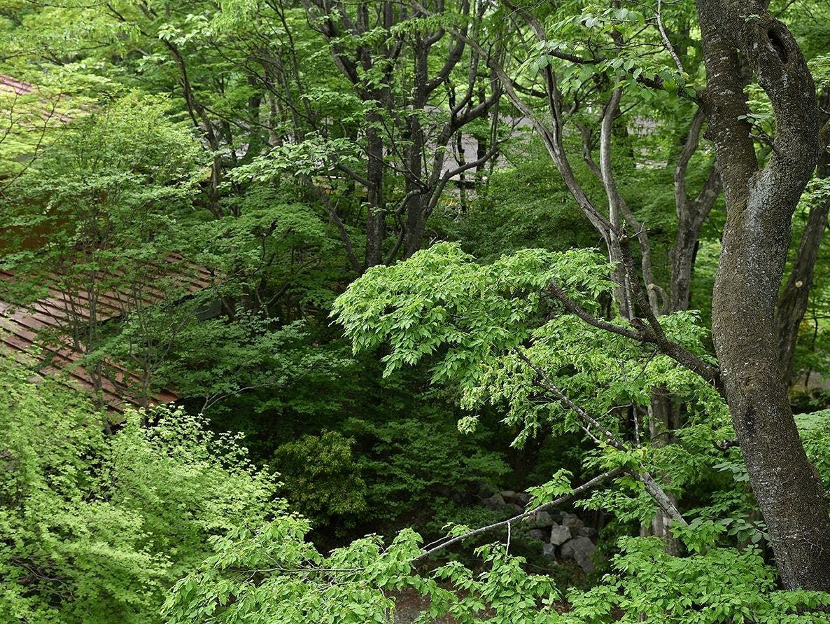 那須高原の宿　山水閣