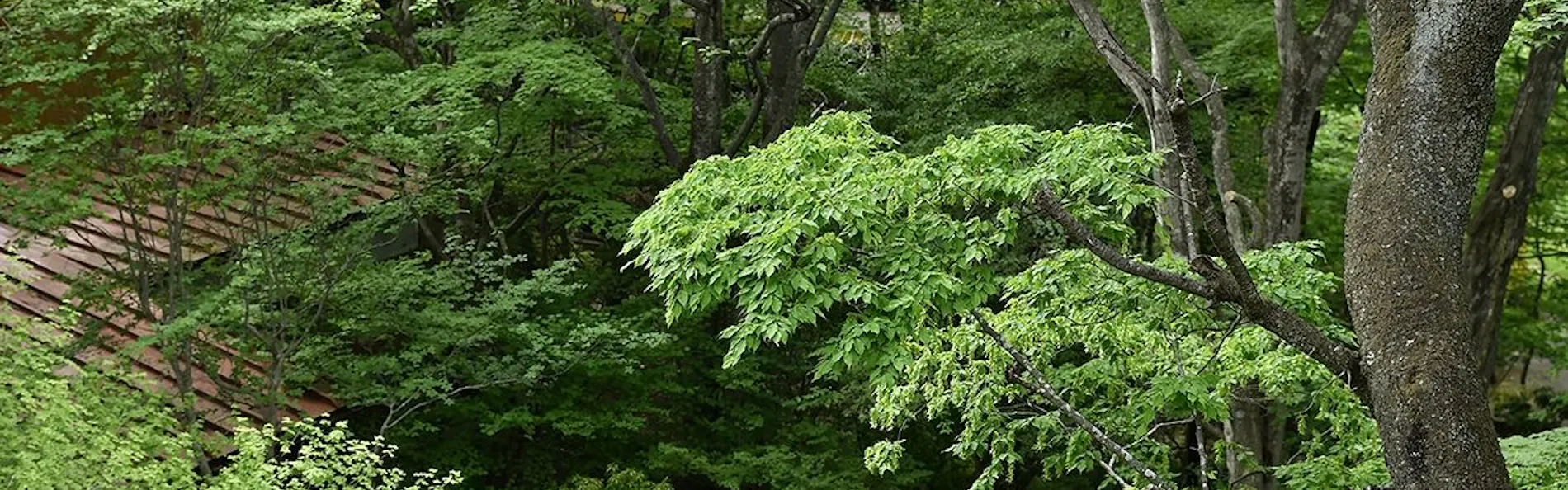 那須高原の宿 山水閣