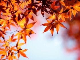 那須高原の宿　山水閣