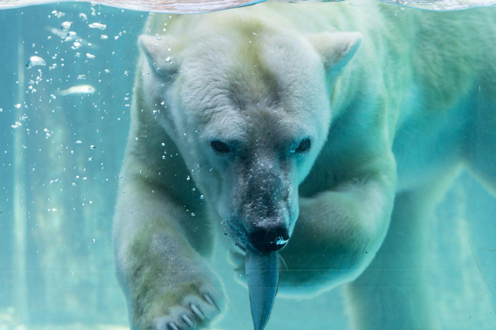 Toyohashi General Zoological and Botanical Park Nonhoi Park