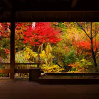 ~ Pemandian Air Panas Pribadi Suicho no Yu Musim Gugur ~