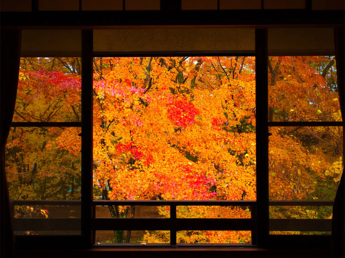 ~紅花(べにばな) Bタイプ 秋~