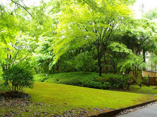 料金6 050円 京都 嵐山ご清遊の宿らんざんを格安予約 おすすめプラン比較 Biglobe旅行 料金6 050円 京都 嵐山ご清遊の宿らんざんを格安予約 おすすめプラン比較 Biglobe旅行