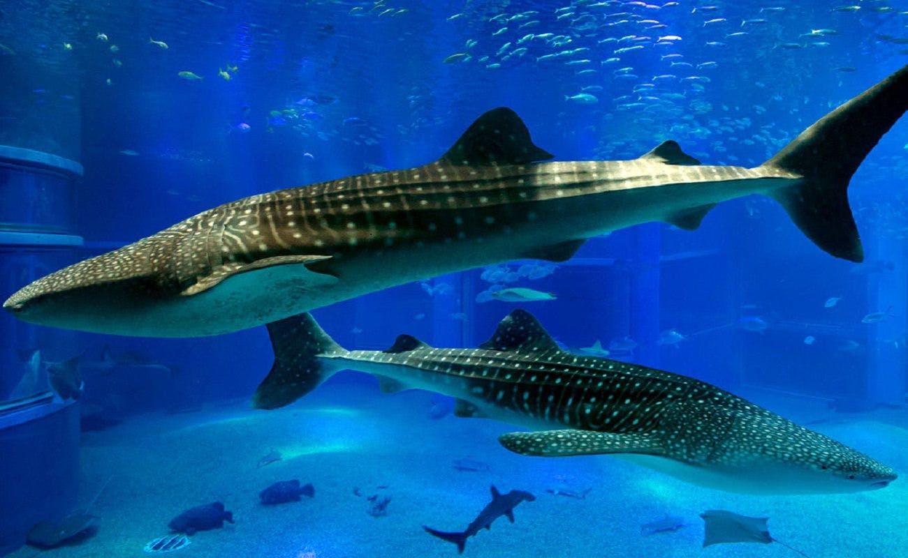 ホテルモントレ　ラ・スール大阪