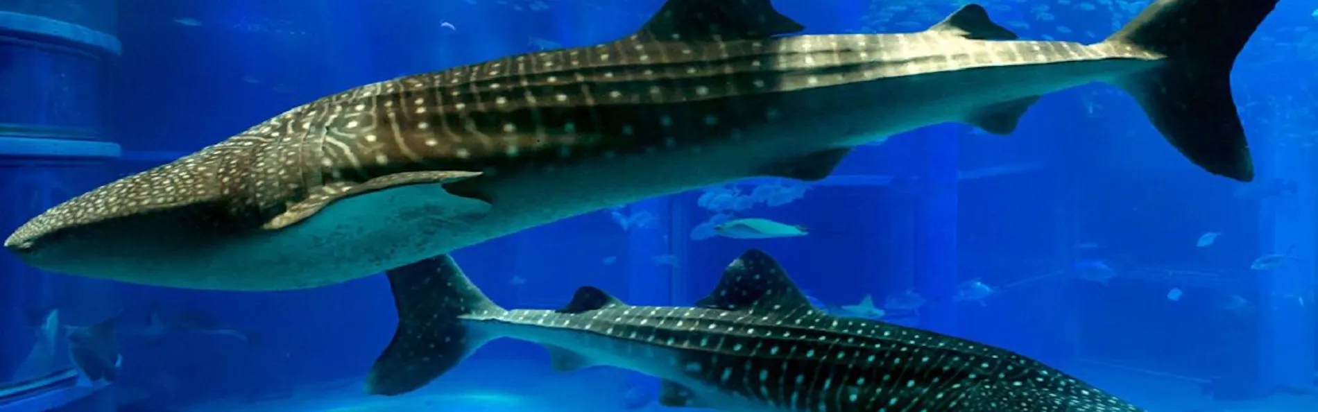 ホテルモントレ ラ・スール大阪