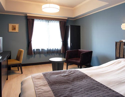 デラックスシングルルーム（19平米）