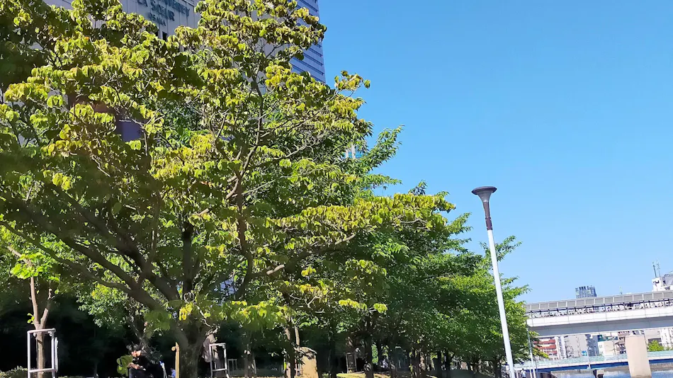 Hotel Monterey La Soeur Osaka