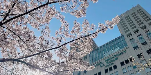 Hotel Monterey La Soeur Osaka