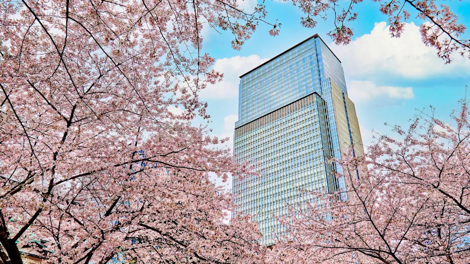 Mandarin Oriental, Tokyo