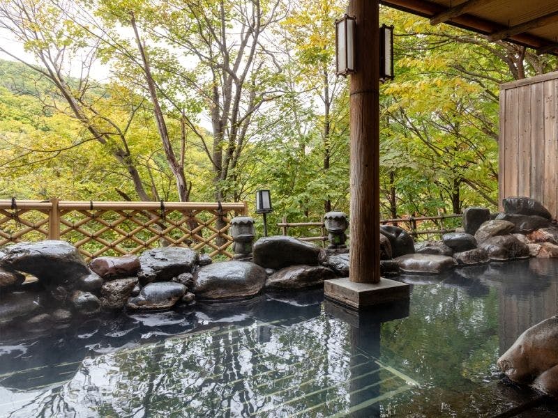 21年最新 定山渓温泉で温泉自慢の宿ランキング 一休 Com