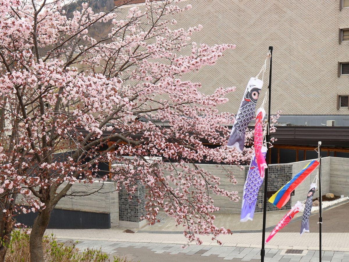 桜と外観（鯉のぼり）