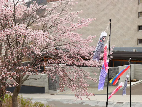 章月グランドホテル 桜と外観（鯉のぼり）