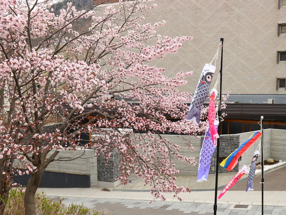 章月グランドホテル 桜と外観（鯉のぼり）