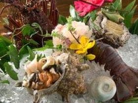 茄子のはな（ナスノハナ） 2枚目