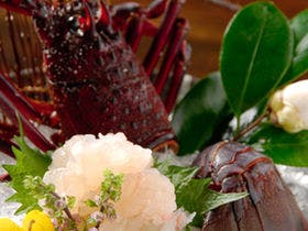 茄子のはな（ナスノハナ） 3枚目