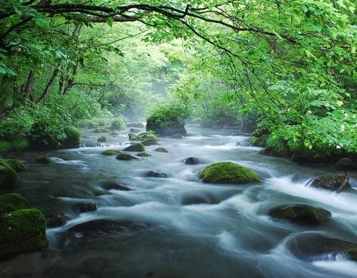 【奥入瀬渓流】