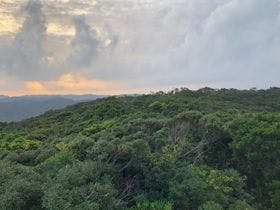 奄美リゾートホテル ティダムーン 1枚目