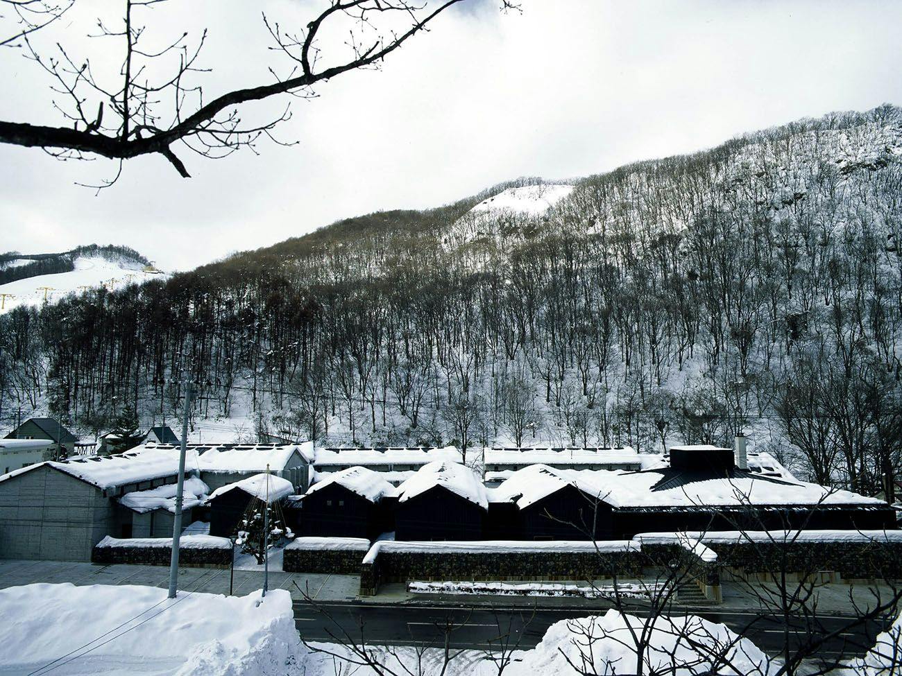 冬にだけ、北海道が差し出す頂を。─ 二大蟹と、醸す一夜