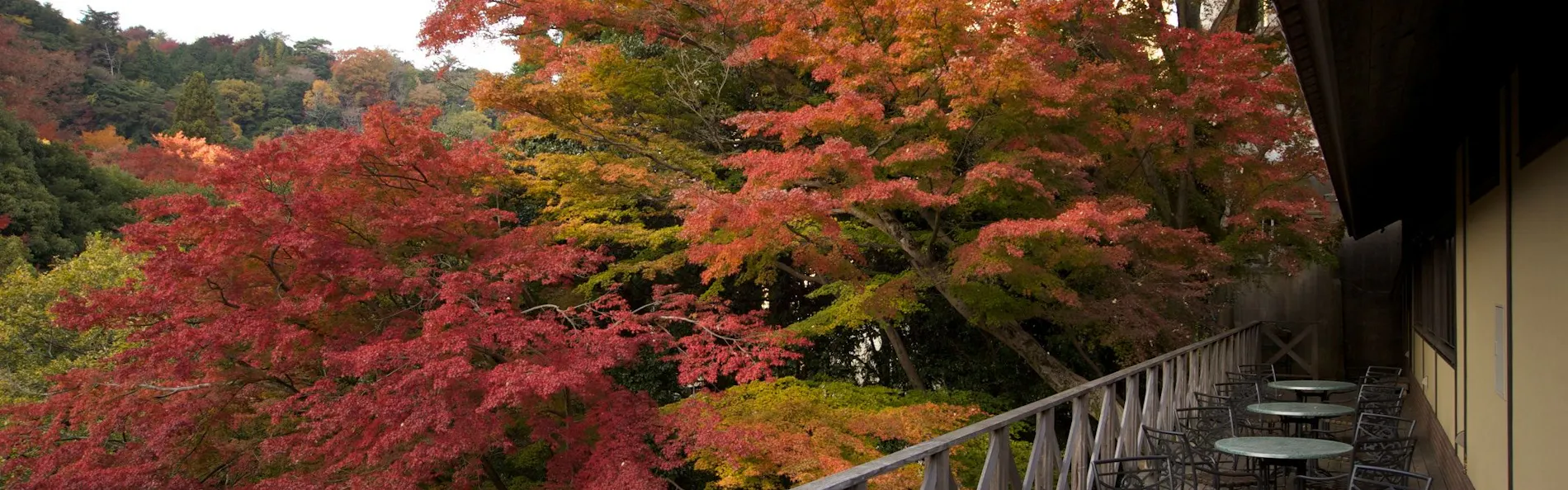 有馬山叢 御所別墅