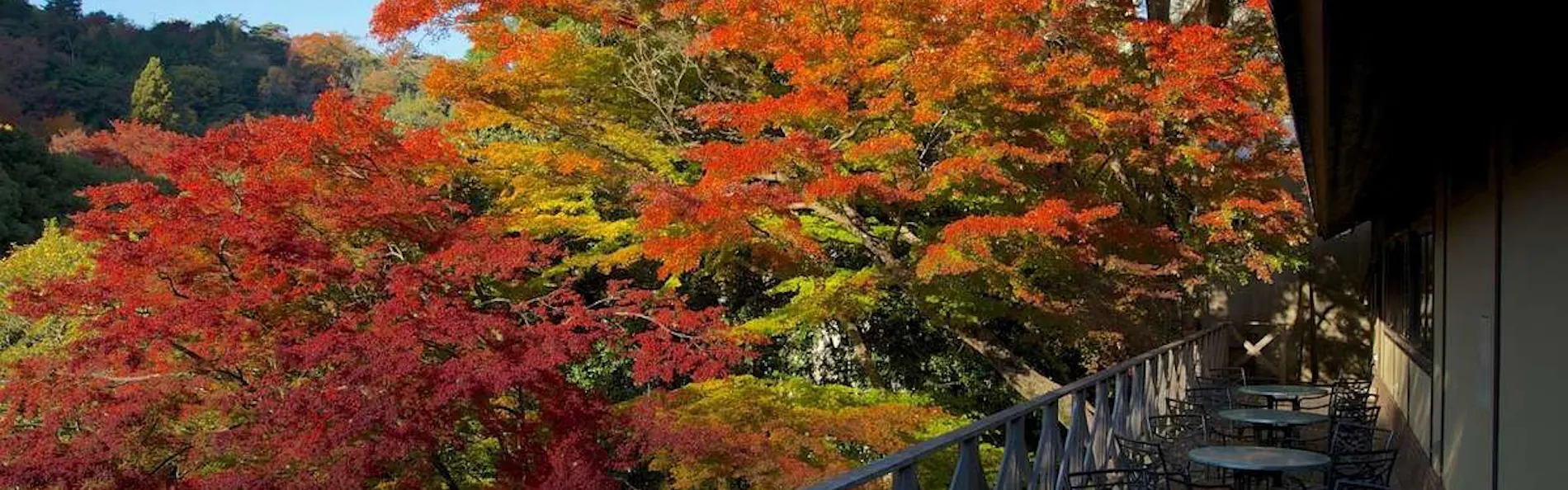 有馬山叢 御所別墅