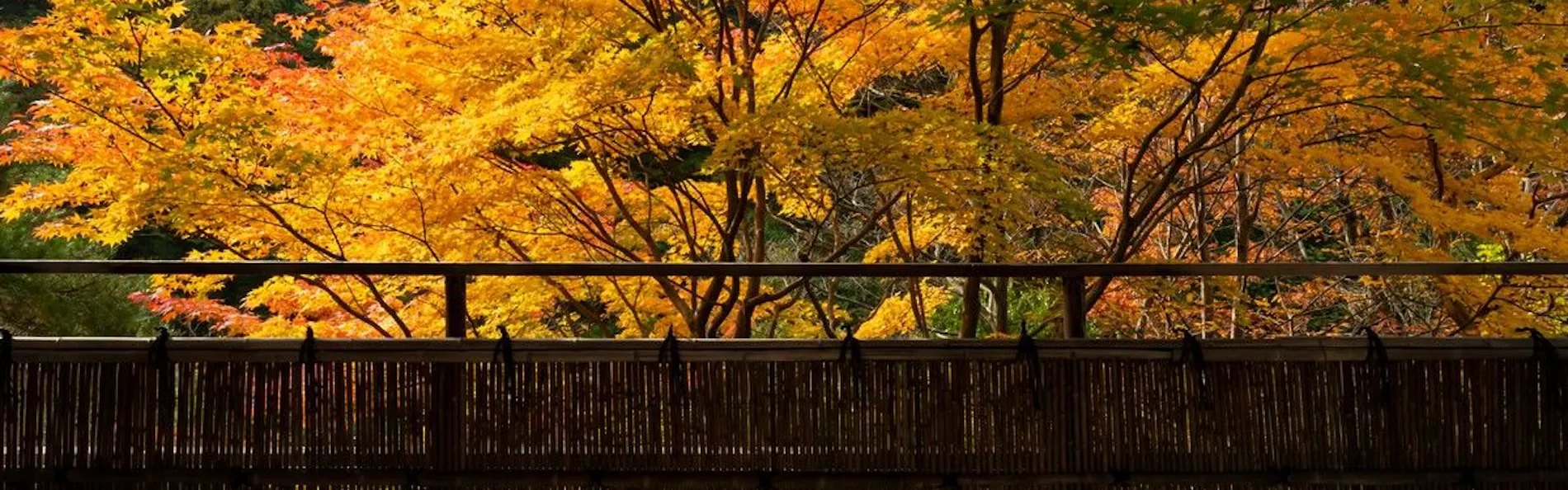 奥伊香保 旅邸 諧暢楼(かいちょうろう)