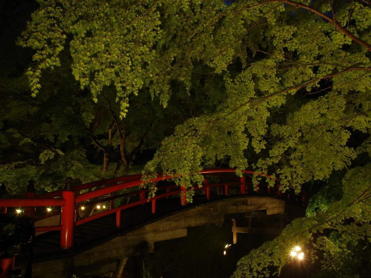 สะพานคาจิกะ ประดับไฟยามค่ำคืนท่ามกลางใบไม้เขียวสด