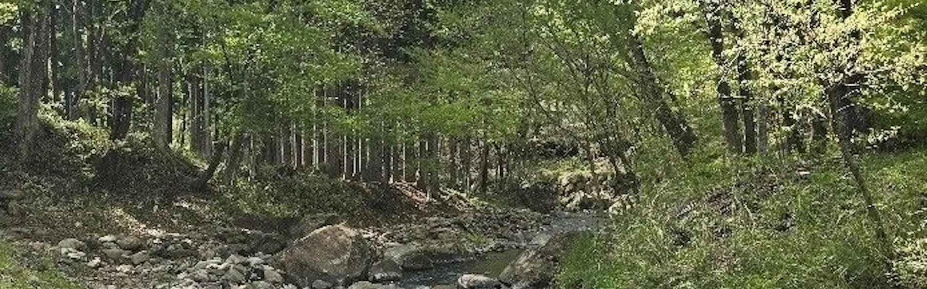 ホテルラフォーレ那須