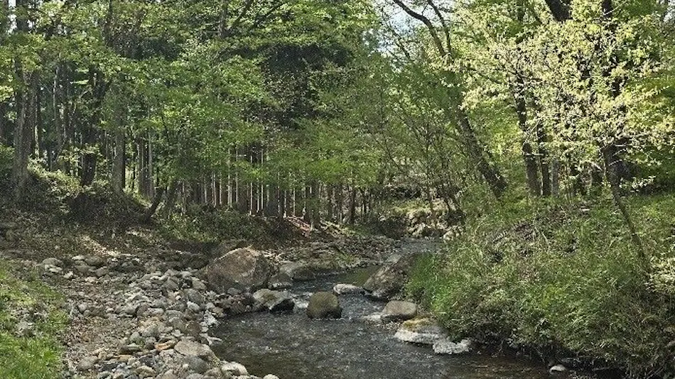 Hotel Laforet Nasu