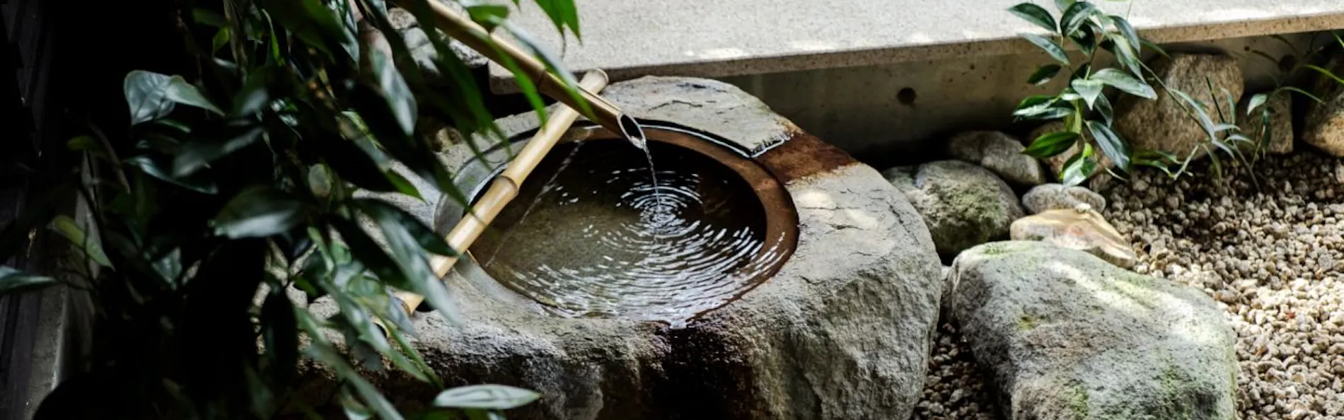 味わう、もろみの島宿。 「真里」