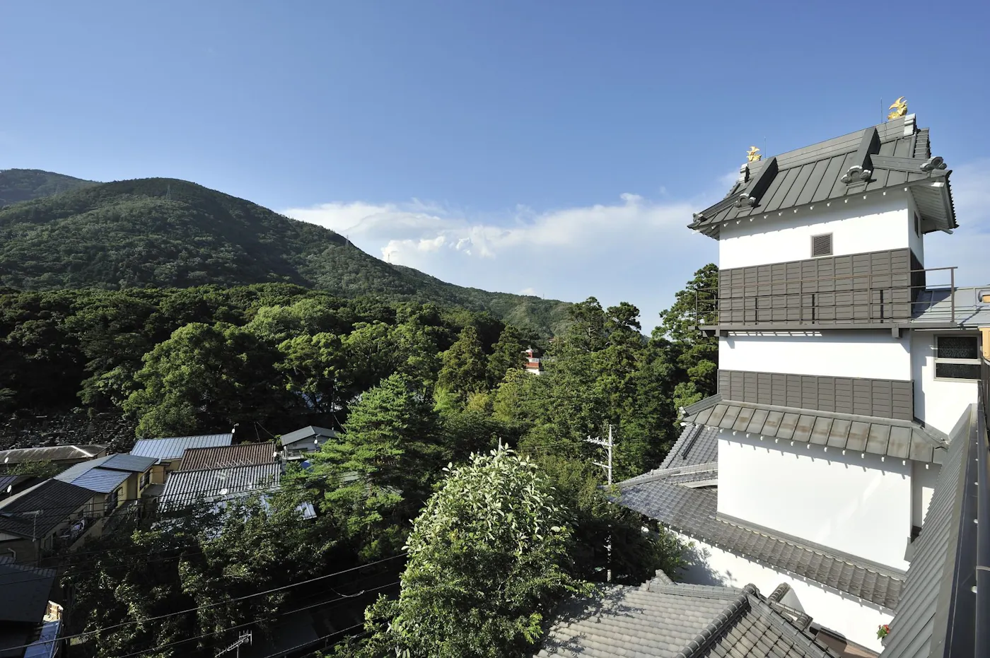 箱根 花紋:箱根の山と館