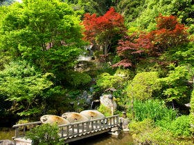 べっぷ昭和園
