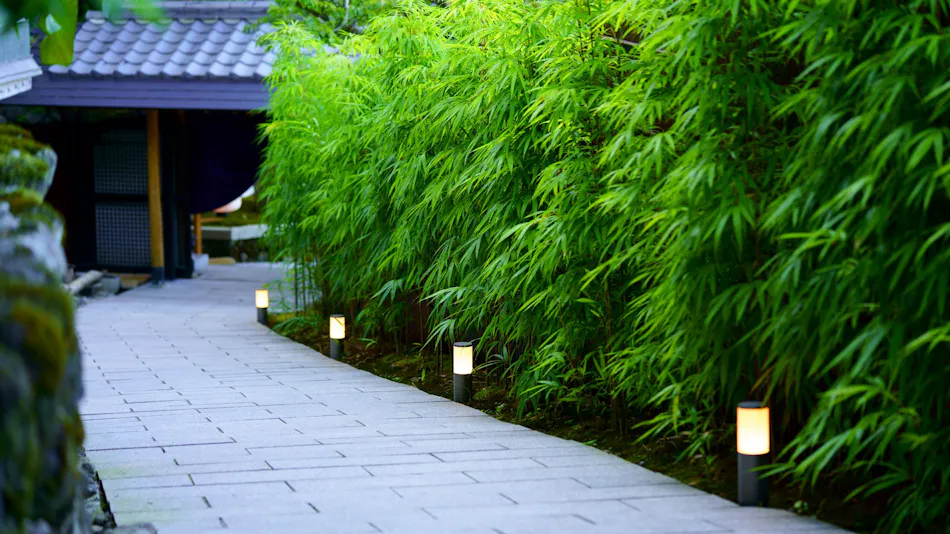 Beppu Showa-en