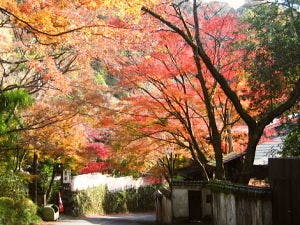 奥湯河原 結唯 -YUI- - 【離れ・露天風呂付】1泊2食