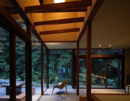 紫葉「朝葱」リビング